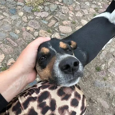 Karensminde Apartamento *