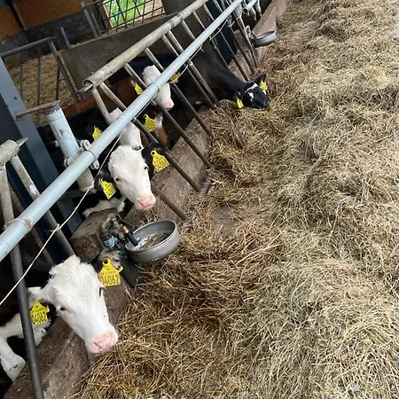 Karensminde * Jelling