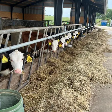 Apartamento Karensminde *