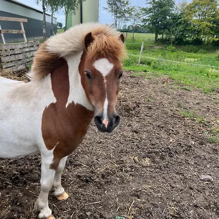 Apartamento Karensminde Jelling