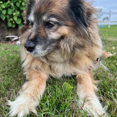 Karensminde Apartamento *